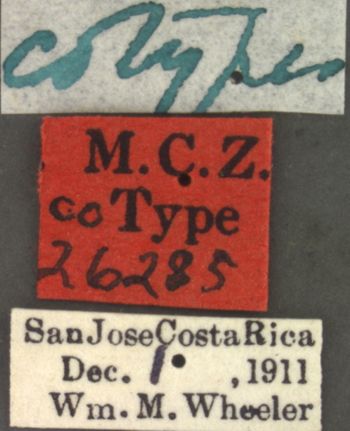 Media type: image;   Entomology 26285 Aspect: labels
